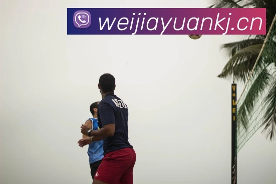 滚球官网app平台生态图